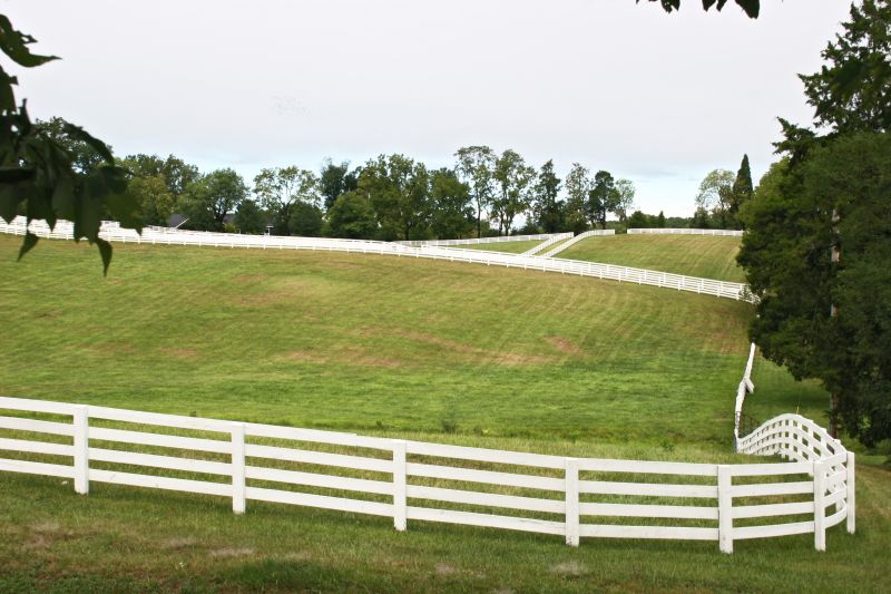 Livestock Fencing Service