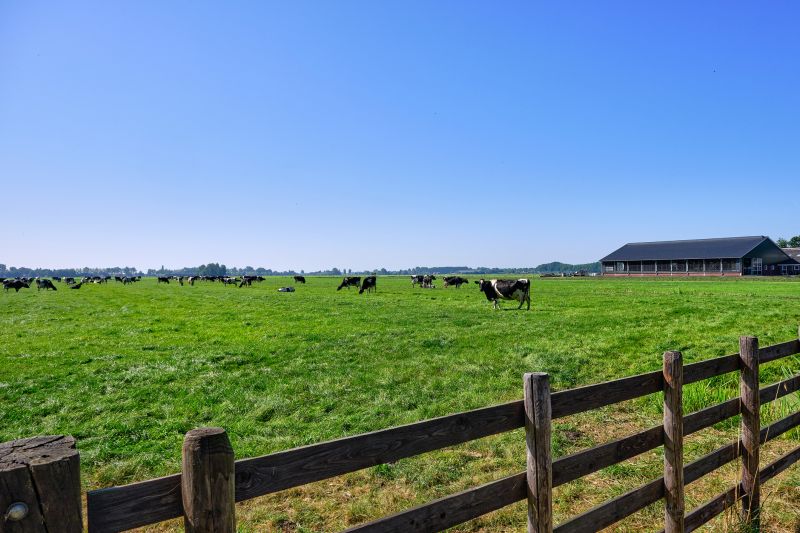 Livestock Fencing Service