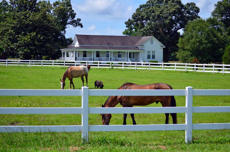 Fenced Pasture with Livestock