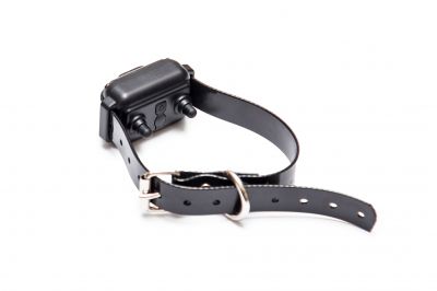 Electric Fence Setup