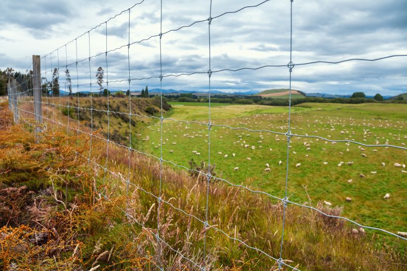 Livestock Fencing Service