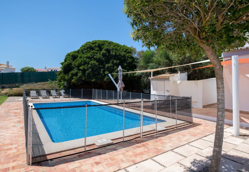 Child and Pet Safety in Action