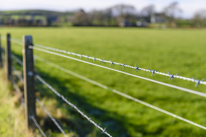 Top Fencing Materials