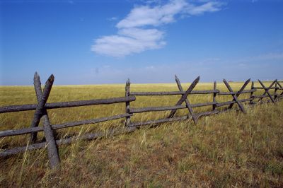 Pasture Management and Grazing Control